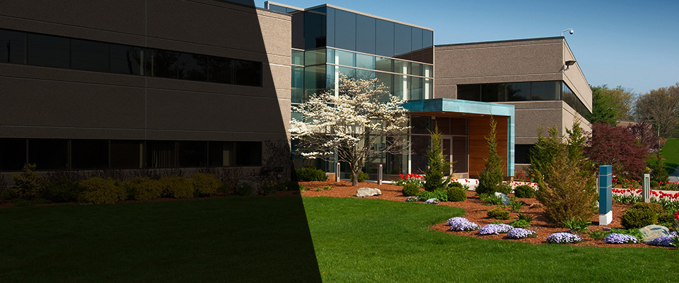 Arcata Landscapers