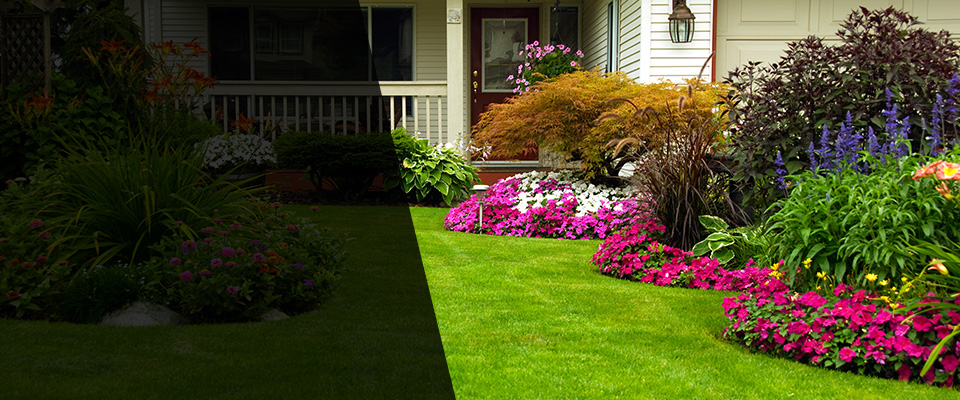 Arcata Landscapers