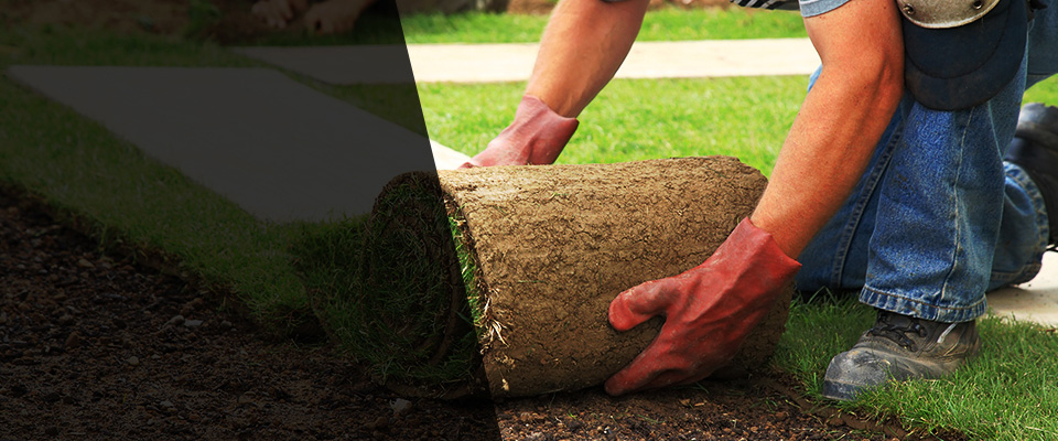 Arcata Landscapers